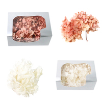 Anna Hydrangea 20g Pack Bahan Bunga DIY Hari Guru Daun Kecil Kotak Bunga Hydrangea Bunga Kering Bunga Abadi Hydrangea