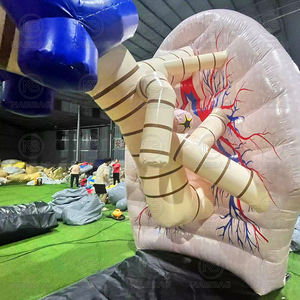 विशाल inflatable फेफड़ों के शरीर से बाहर सामुदायिक चिकित्सा शिक्षा चिकित्सा प्रदर्शनियों के लिए मानव अंगों को उड़ा देता है - Product Image 6