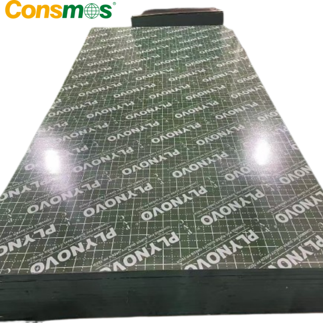 Reusable & Durable PP Coated Plastic Slab Formwork