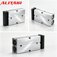 Cylindre pneumatique à double tige série TN ALITAIR avec ou sans aimant – Fournisseurs de vérins pneumatiques à piston série TN