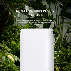 Mini Desiccant <b>Dehumidifier</b> With Air Purifier 30L Capacity R134a Refrigerant Electronic Control for Household Use <b>Dehumidifier</b> - Product Image 5
