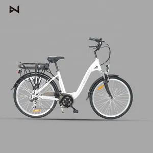 Bicicletta elettrica per bici elettrica 36 48V molto apprezzata ue