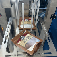 Machine de remplissage et d'emballage automatique électrique pour sachets préformés de snus à base de feuilles de tabac entières