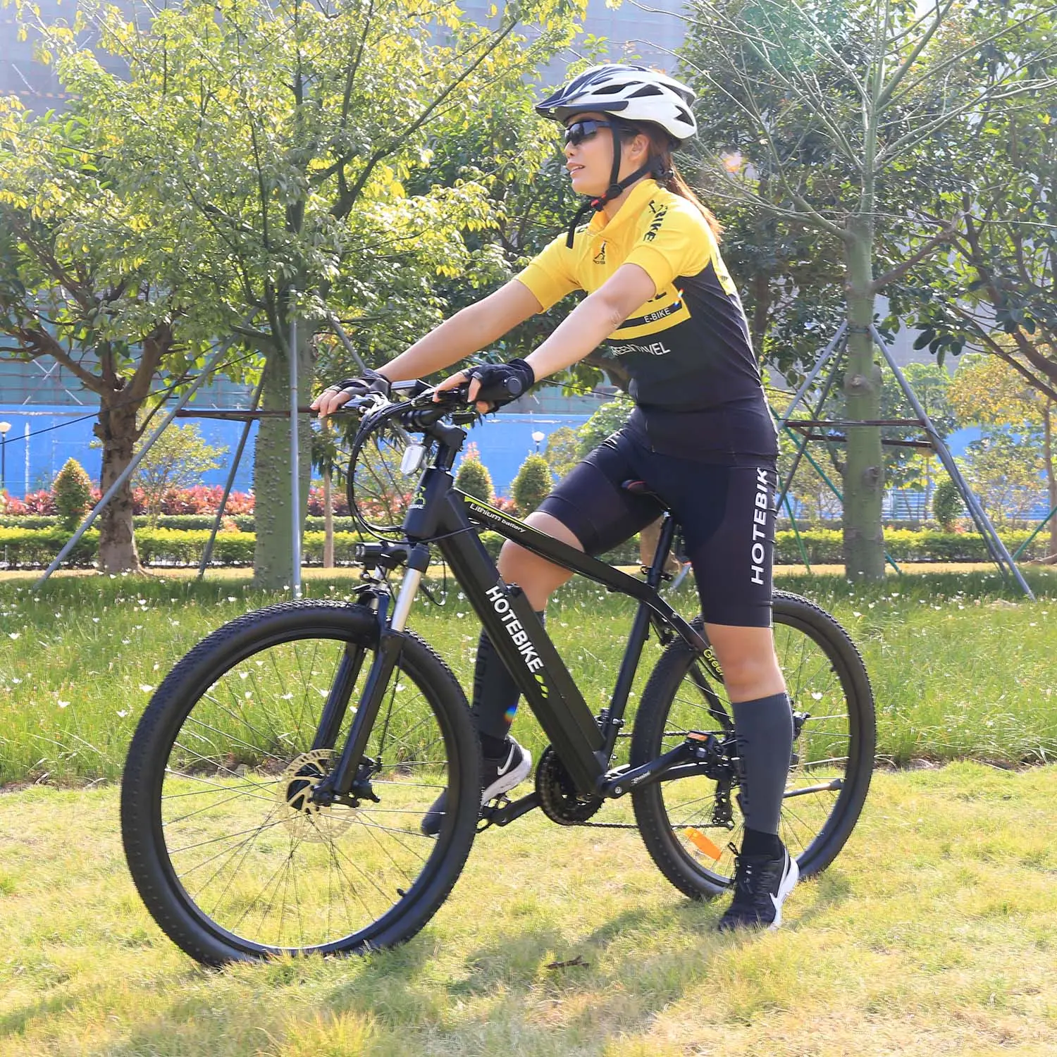 EN15194 Approved Hidden battery electric mountain bicycle e bike 36v 250w 350w 500w ebike Electric Hybrid Bike