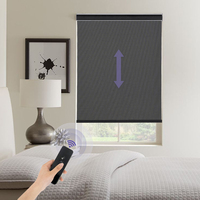 Persiana Enrollable Automática Retráctil Personalizada de 3m, Cortina de Tela Plisada para Ventanas, Resistente al Viento, para Hoteles