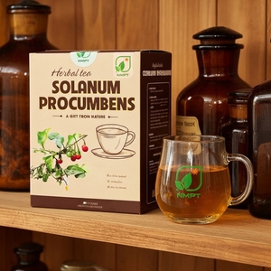 ชาสมุนไพร NMPT แบรนด์ Solanum Procumbens ชา Ca Gai Leo แบบซอง รับผลิตแบบ OEM ODM ชาสมุนไพรฉลากส่วนตัวสำหรับเจ้าของแบรนด์ - Product Image 1