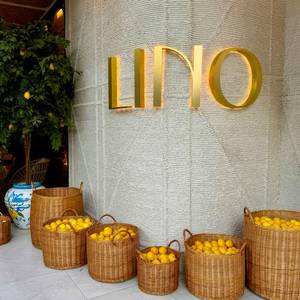 Letreros Comerciales 3D con Letras de Canal LED, Letrero con Logotipo Iluminado Personalizado, Letreros con Logotipo LED de Pared para Negocios - Product Image 6