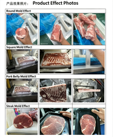 Mesin Pembentuk Daging Beku, Mesin Pencetak Blok Daging Sapi/Kambing Beku untuk Membentuk Ulang Daging Beku Bentuk Tidak Beraturan