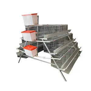 Poultry farm chicken cages hens breeding laying cage equipment egg layer automatic for sales