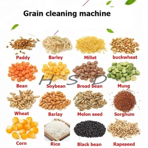 Máquina Clasificadora y Cribadora de Granos a Precio de Fábrica para un <span class=keywords><strong>Trabajo</strong></span> Eficiente de Clasificación de Maíz, Trigo y Sésamo - Product Image 2
