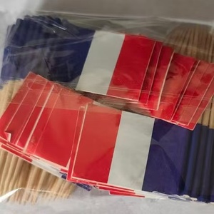 Banderas de Papel Personalizables para Palillos de Dientes, para Uso en el Hogar y la Cocina - Product Image 1