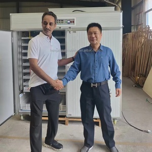 Incubadora de energía Solar 5280 de alta calidad, Incubadora de huevos completamente automática con convertidor de batería de Panel Solar para <span class=keywords><strong>pollo</strong></span>, avestruz - Product Image 3