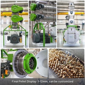 Ligne de production de granulés d'aliments RICHI 1-120T/H - Usine d'aliments personnalisée CE EPC, ligne de traitement de granulés d'aliments pour bétail et volailles - Product Image 3
