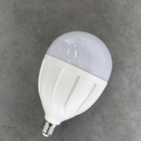 Bombilla LED E27 Tipo T, Forma de Globo, Luz Blanca Cálida, para Aplicaciones en Almacenes, Regulable, CRI80, 50000h