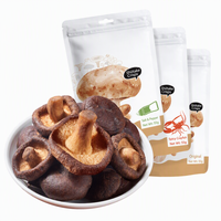 Champiñones Shiitake Salados y Picantes Directos de Fábrica, Snack Crujiente Deshidratado VF, Venta al por Mayor a Granel, Proveedor OEM para Exportación