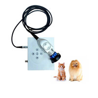 Caméra Endoscope pour PC portable Ent Usb Ent Caméra Laparoscopie Caméra avec sortie HDMI