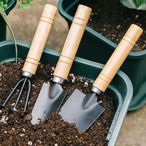 Ensemble de 3 mini-outils de jardinage <span class=keywords><strong>en</strong></span> <span class=keywords><strong>bois</strong></span>, outils de jardinage à main <span class=keywords><strong>pour</strong></span> bonsaï, outils <span class=keywords><strong>japonais</strong></span> <span class=keywords><strong>pour</strong></span> bonsaï - Product Image 6
