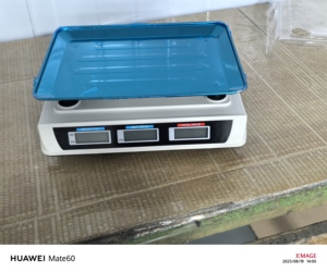 Bilancia Digitale da <span class=keywords><strong>40kg</strong></span> in Acciaio Inossidabile con Calcolo del Prezzo, Supporto ODM/OEM - Product Image 4