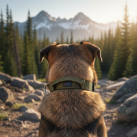 Collier tactique robuste pour chien avec poignée de contrôle, boucle à dégagement rapide, anneau en D en acier inoxydable, patchs personnalisés, collier d'entraînement pour chien