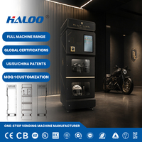Distributeur automatique intelligent Haloo pour le nettoyage, le séchage rapide et la désinfection des casques, avec fonction de lavage à la vapeur, pour bâtiments commerciaux et parkings