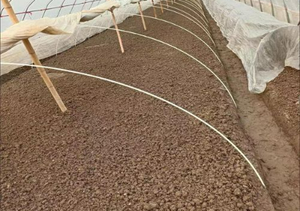 Fábrica 3mm 4mm 5mm 10mm 12mm 16mm 20mm 30mm Uv Pultrudado Fibra De Vidro Sólida <span class=keywords><strong>Rod</strong></span> bar Frp Stake - Product Image 5