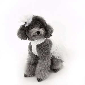 Maltés Yorkshire Terrier Super tamaño pequeño perro blanco lentejuelas encaje vestido perro princesa vestido - Product Image 5