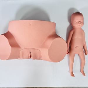 แบบจำลองการฝึกอบรมการดูแลสตรีตั้งครรภ์ขั้นสูง, แบบจำลองการสอนทางการแพทย์ - Product Image 6