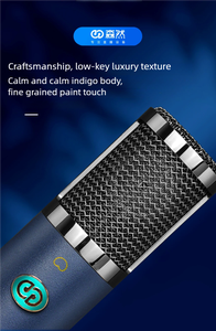 Microphone à condensateur professionnel haut de gamme <span class=keywords><strong>TF11</strong></span> à large diaphragme, 48V, métal, XLR, câblé, pour enregistrement, chant, équipement sonore live - Product Image 4