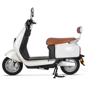 New Style Long Ride Distance 40km/H Max Speed 800w Electric Motorcycles & Scooters