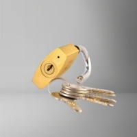 Rarlux Étanche Anneau Solide Cadenas Haute Qualité Candado Sécurité Cadenas En Laiton Avec Clé D'ordinateur en Vrac 40 50 60 70mm