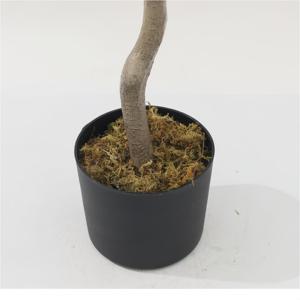 Nueva moda Real Touch plantas artificiales pequeña pared verde coco palmera corteza de árbol hojas pequeñas corteza de árbol Artificial plástico - Product Image 6