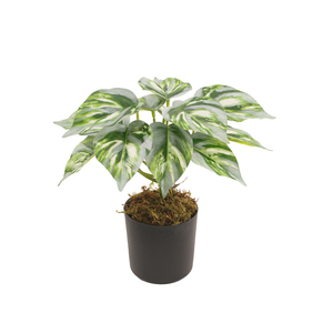 Nouveau design Vente à chaud Petites mini plantes artificielles suspendues Faux plantes artificielles Monstera Taro Bonsaï - Product Image 2