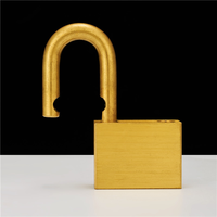 Cadenas à clé à lame en laiton, étanche, en acier et aluminium, pour la sécurité des portes – Vente chaude en usine