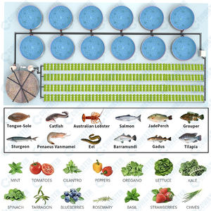 Cowater Hydroponics Sistema de cultivo de <span class=keywords><strong>lechuga</strong></span> y tilapia Sistema de acuaponia de peces de interior Granja de peces Verduras Sistema de acuaponia - Product Image 5