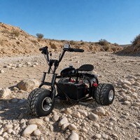 Kart à trois roues électrique 1800W 48V, différentiel, batterie lithium, 2 freins à disque hydrauliques, 45 km/h, autonomie 20 km, 200 kg