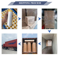 Film de masquage HDPE pré-adhésif anti-humidité en rouleaux, 12 pièces, OEM direct usine, avec logo personnalisé imprimé pour les entrepreneurs en peinture