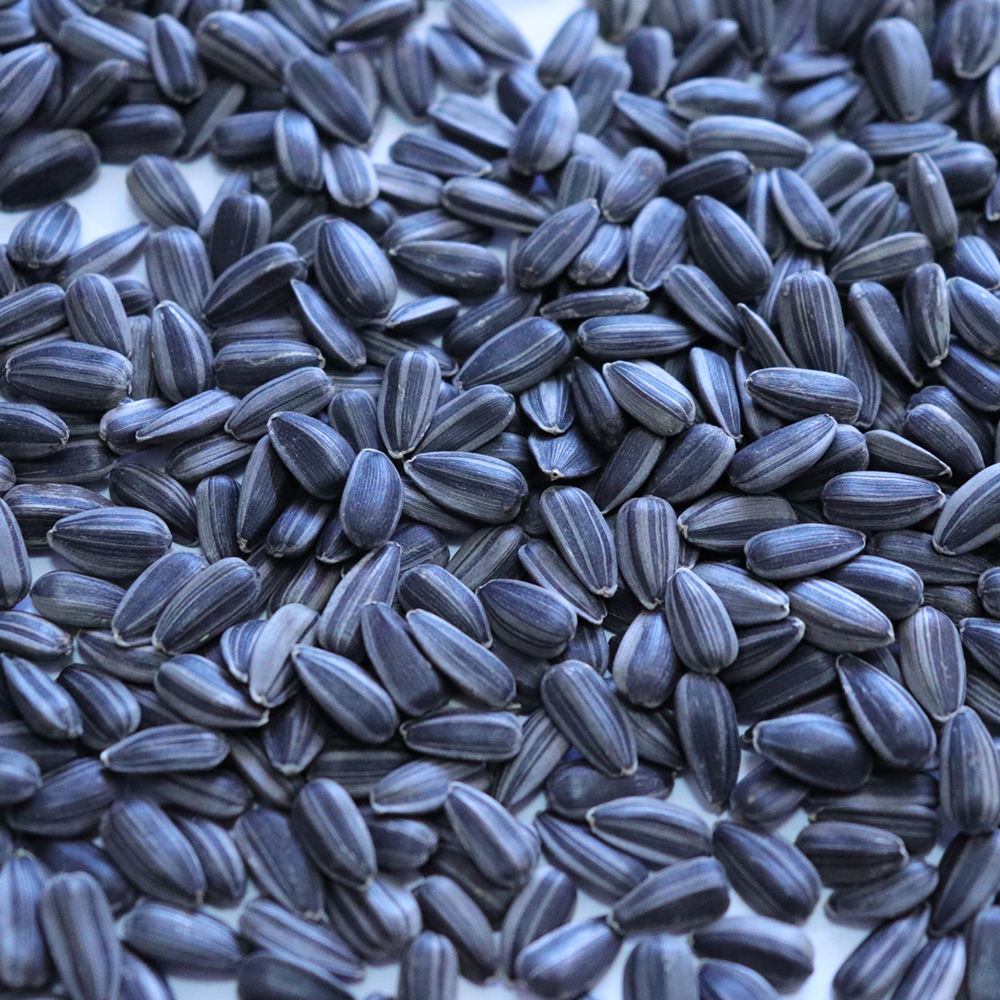 sunflower seeds for oil production