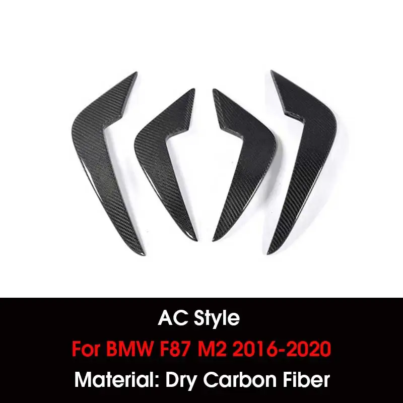 Fibre de carbone sèche