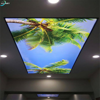 LeArt Petit Panneau Électrique de Plafond Film Décoratif 3D UV Imprimé Tissu de Plafond Extensible en PVC à Dubaï