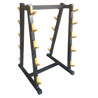 Support de Rangement Robuste en Acier pour Haltères Double Face avec Crochets 20J, Idéal pour la Maison et l'Entraînement Physique – Vente Directe Usine