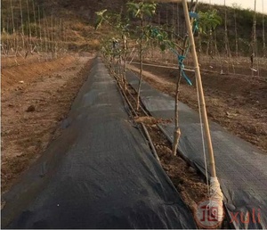 Weed Mat che phủ mặt đất bán buôn 100% HDPE vườn hoa không thấm nước Sun <span class=keywords><strong>Shade</strong></span> Vải <span class=keywords><strong>net</strong></span> chế biến nông nghiệp dịch vụ bao gồm - Product Image 4