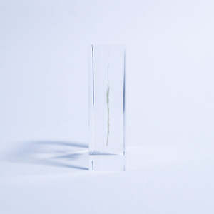 El yapımı numune bitki gömülü hatıra el sanatları akrilik reçine akçaağaç Paperweight hediye bırakır - Product Image 4