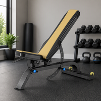 Chaise d'entraînement réglable Xinrui Commercial Fitness pour les cibles : épaules, dos, hanches et jambes.