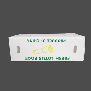 Food Grade PP UV Resistant for <b>Sheet</b> Corrugated Board for Fruit Packing Storage Tray with Customizable Size - Product Image 5