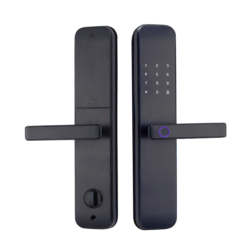 Дверной электронный биометрический умный замок Smart Lock 5-в-1