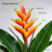 Fleurs artificielles en latex de Heliconia hawaïenne au toucher réel, tige florale faite à la main, décoration intérieure, mariage, événement