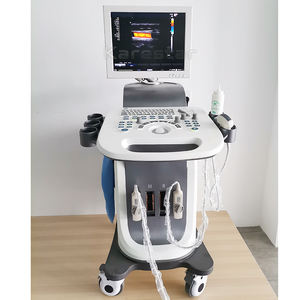 PW CW warna Doppler Rumah Sakit pemindai <span class=keywords><strong>ultrasound</strong></span> trolley 3d 4d Vet mesin <span class=keywords><strong>ultrasound</strong></span> - Product Image 3