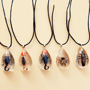 Collar con Colgante de Resina Transparente con <span class=keywords><strong>Insectos</strong></span> Reales, Collar con Espécimen de Insecto, Joyería para Hombre - Product Image 1