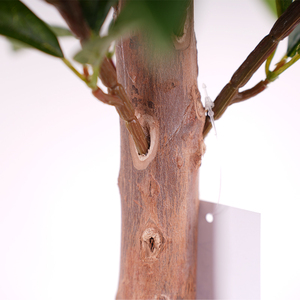 Precio DE FÁBRICA DE China para la venta de plantas artificiales al por mayor de alta simulación hermoso bonsái topiario falso hoja de <span class=keywords><strong>laurel</strong></span> árbol de <span class=keywords><strong>laurel</strong></span> - Product Image 3