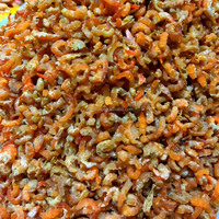 Déshydrateur alimentaire industriel, capacité de 100 kg à 300 kg avec contrôle PLC pour produits séchés
